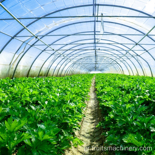 Aqua Hydroponics, Project Poly-Houses Δομή